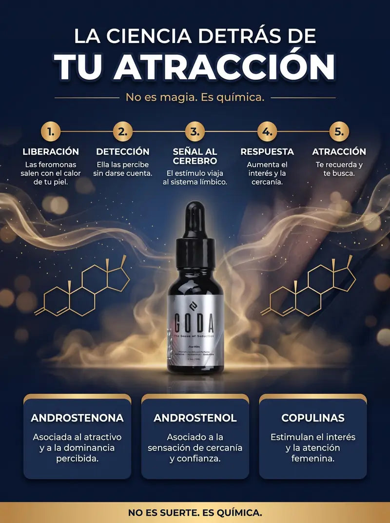 La ciencia detrás de tu atracción: liberación, detección, señal al cerebro, respuesta y atracción, con androstenona, androstenol y copulinas
