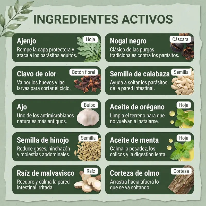 Ingredientes activos de ParaGuard