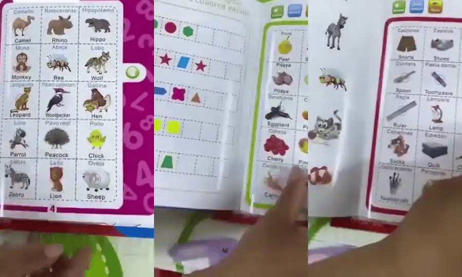 El libro ensena animales, frutas y objetos con el dedo